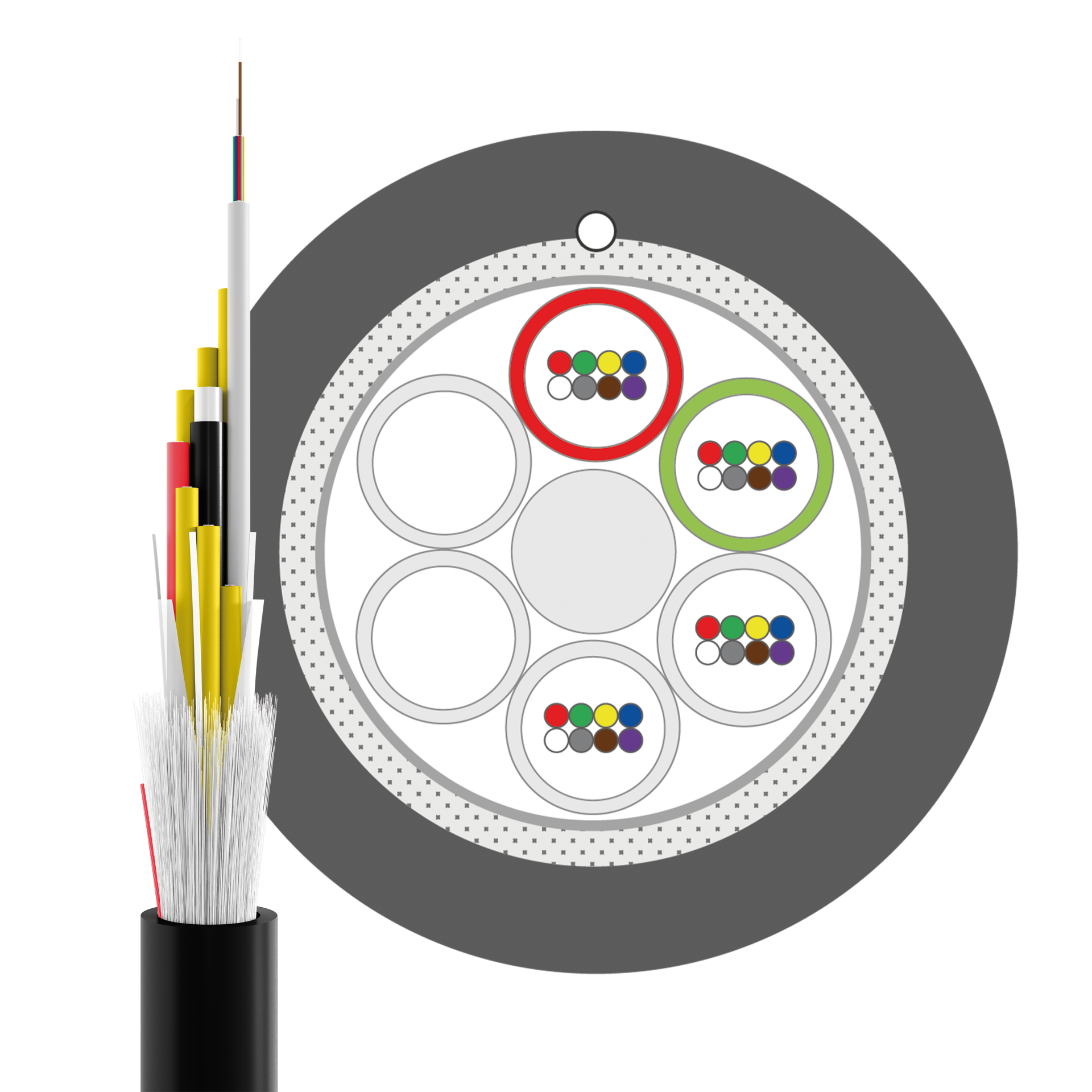 54548.1D-E5