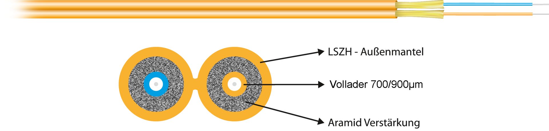 56202.1