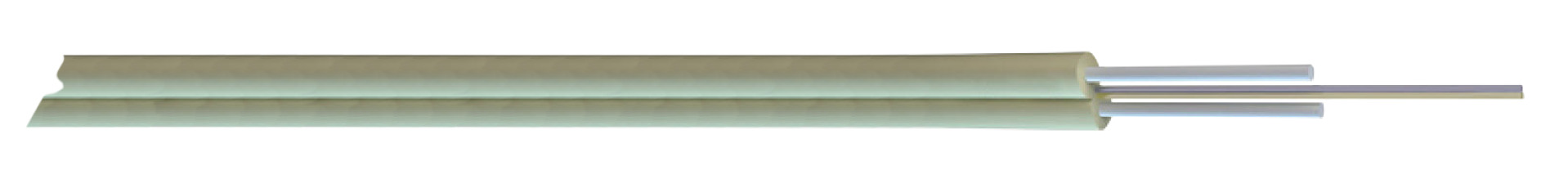 56204.4