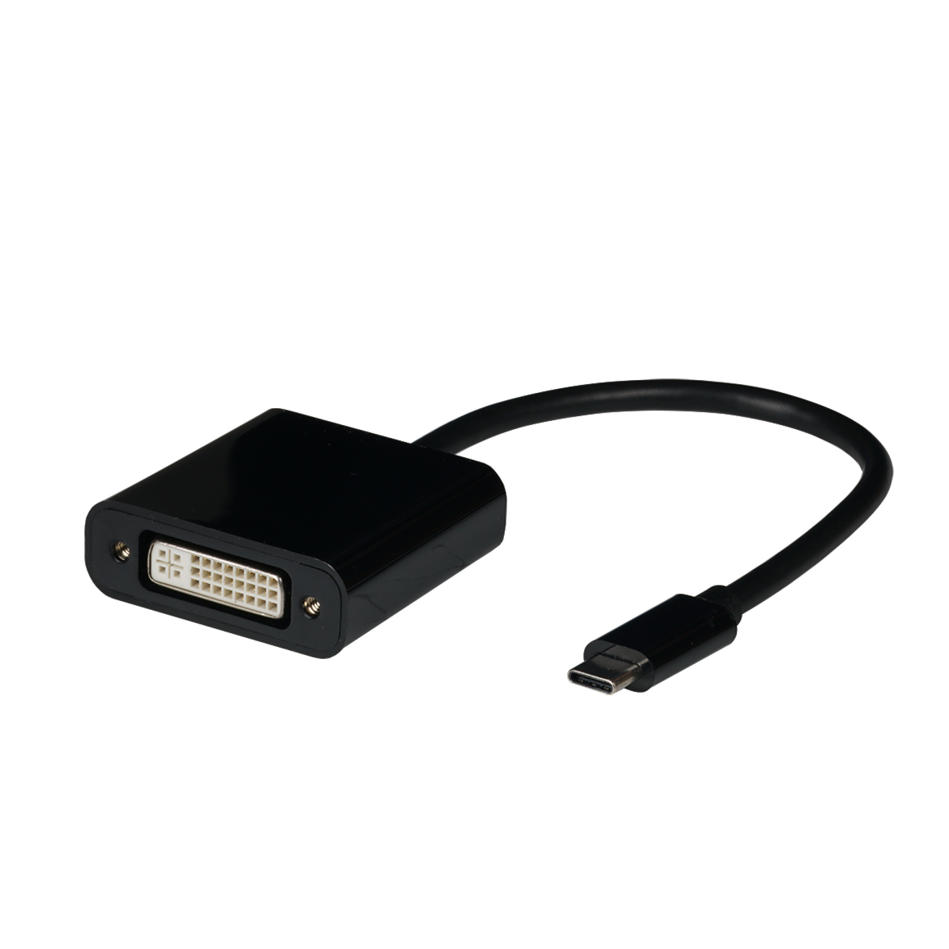 EBUSBC-DVI