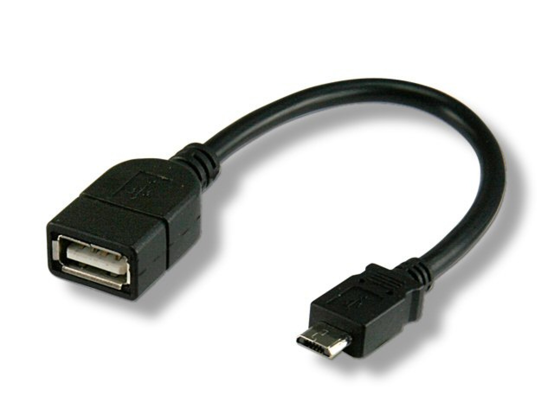 ICOC-UOTG-194