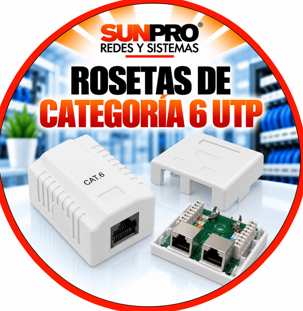 ROSETAS DE CATEGORÍA 6 UTP